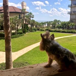 Meet your Posher, Sheila